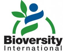 Alliance Bioversity International & CIAT