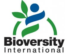 Alliance Bioversity Internatio