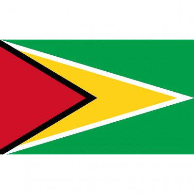 BK International (guyana)
