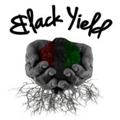 Black Yield Institute