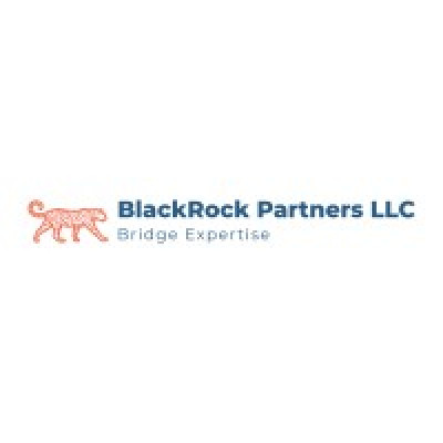 BlackRock Partners LLC