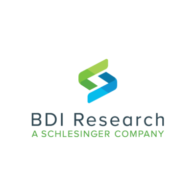 Schlesinger Group Market Research Spain Sl (Sago)