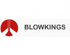 ☑️Blowkings — Supplier from India, experience with UNICEF, WHO — Industry,  Commerce & Services sector — DevelopmentAid