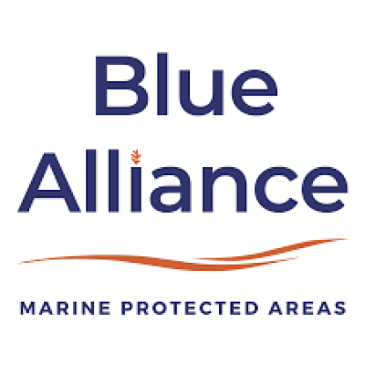 Blue Alliance (before Blue Fin