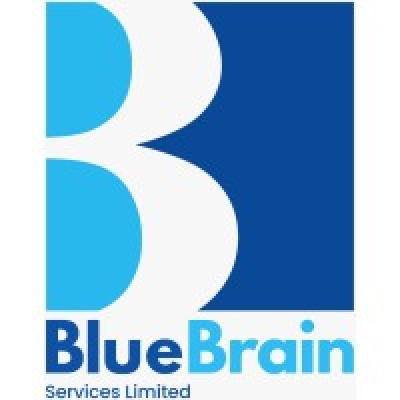 Bluebrain Services Limited