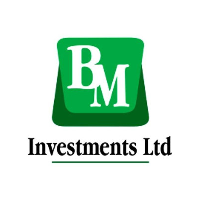 BM Investments LTD
