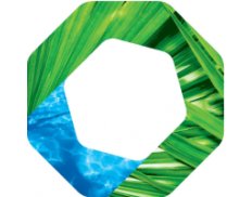 BMS Consulting