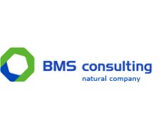 BMS Service LLC