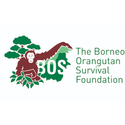 Borneo Orangutan Survival Foundation (BOS)