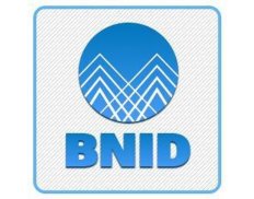 Boston Network for International Development (BNID)