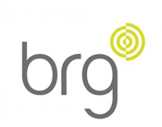 BRG (Geotechnics) Ltd
