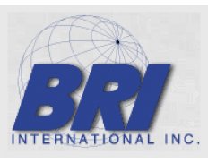 BRI International Inc.