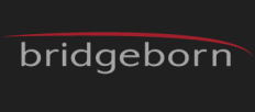 Bridgeborn, Inc.