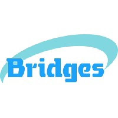 Bridges Ltd
