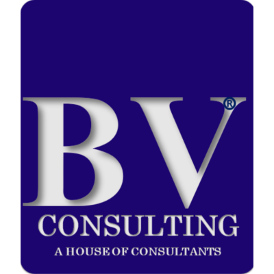 Bright Vision Consulting Services