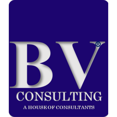 Bright Vision Consulting Servi