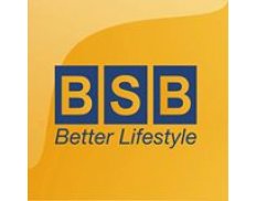 BSB Service LLC