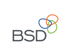 ELEVATE (formerly BSD Consulting) (Germany)