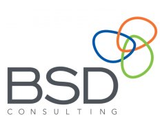 ELEVATE (formerly BSD Consulting) (Brazil)