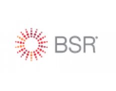 BSR - Business for Social Responsibility - China