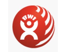 BWI - Building and Wood  Worke