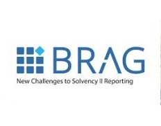 BUSINESS REPORTING ADVISORY GROUP (BRAG)