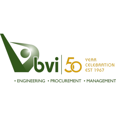 BVi Consulting Engineers Cameroon