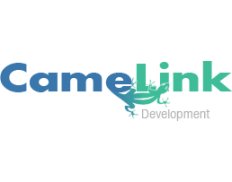 CameLink Development