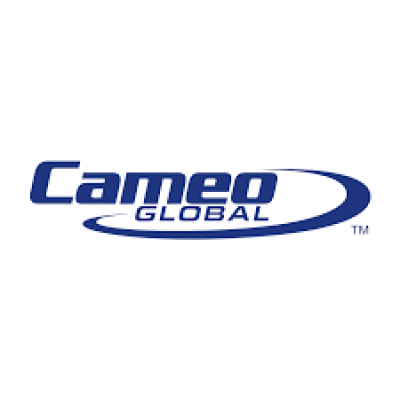 Cameo Global (former,STS Infotechnologies) Europe