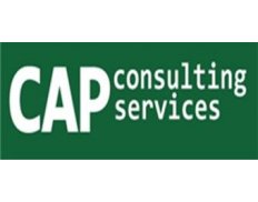 CAP Consulting Services Inc.