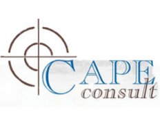 Cape Consult LTD Consulting En