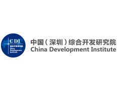 CDI - China Development Institute