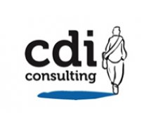 CDi Consulting