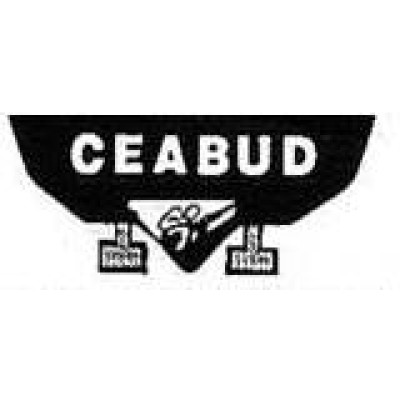 Ceabud Engineering Services Lt