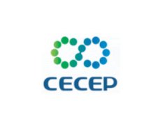 CECEP Consulting Co., Ltd.