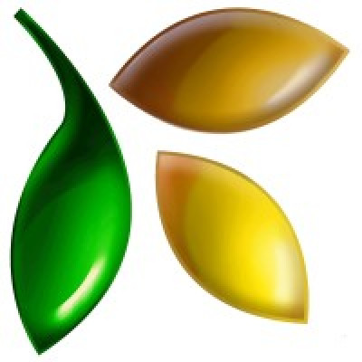 Celignis Limited