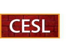Central Engineering Services (Pvt) Ltd / Central Engineering Consultancy Bureau