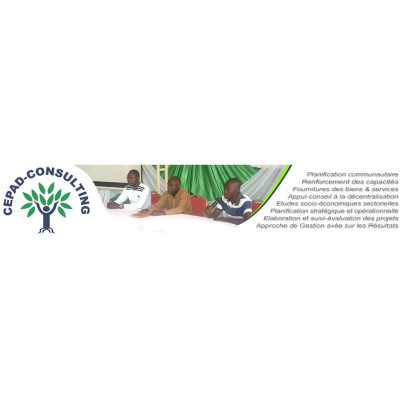 CEPAD Consulting