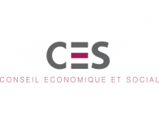 CES- Conseil Economique et Social