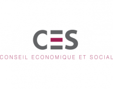 CES- Conseil Economique et Soc