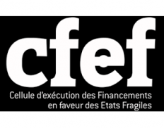 Finance Execution Facility for Fragile States, Ministry of Finance (DRC) / Cellule d’Exécution des Financements en faveur des Etats Fragiles, Ministere Des Finance