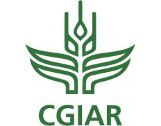 CGIAR Consortium