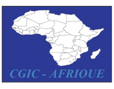 CGIC Afrique International (Cabinet africain de Gestion Informatique et Comptable)