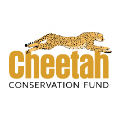 CCF - Cheetah Conservation Fund