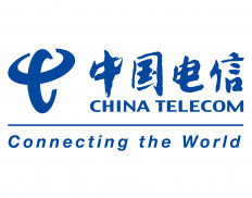 China Telecom Digital Intelligence Technology Co., Ltd, (formerly China Telecom System Integration Co., Limited)