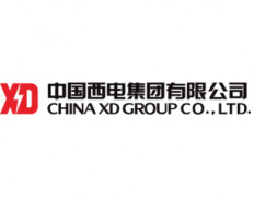 China XD Group Co Ltd