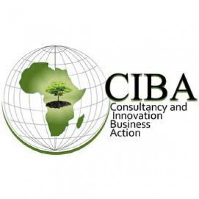 CIBA - Consultancy Innovation Business Action