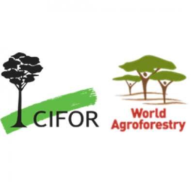 Center for International Fores