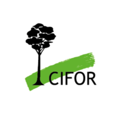Center for International Fores