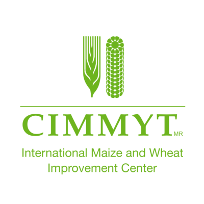 CIMMYT - International Maize a